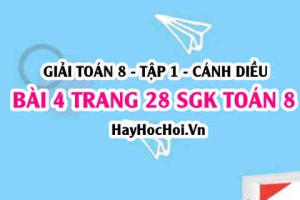 Giải bài 4 trang 28 Toán 8 Tập 1 SGK Cánh Diều